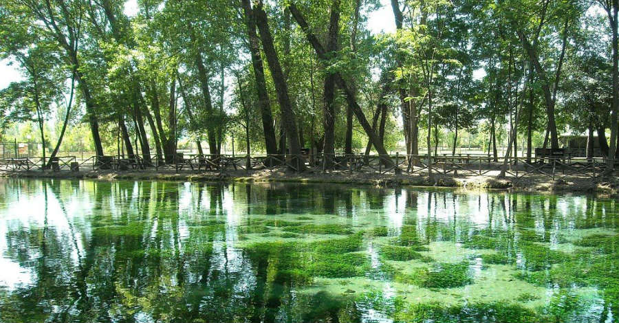 Parco del Grassano